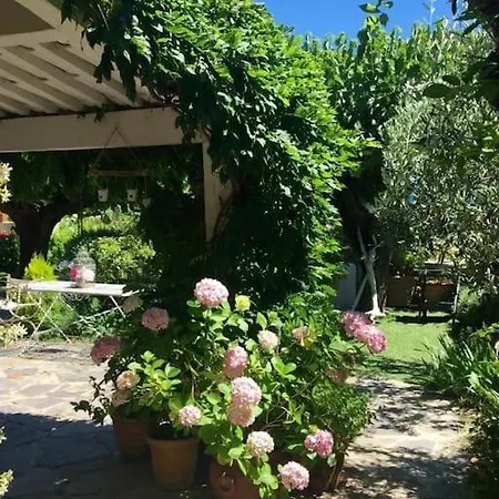 بيت للعطل Charming Provencal Mas With Amazing Sea View And Pool سان تروبيه